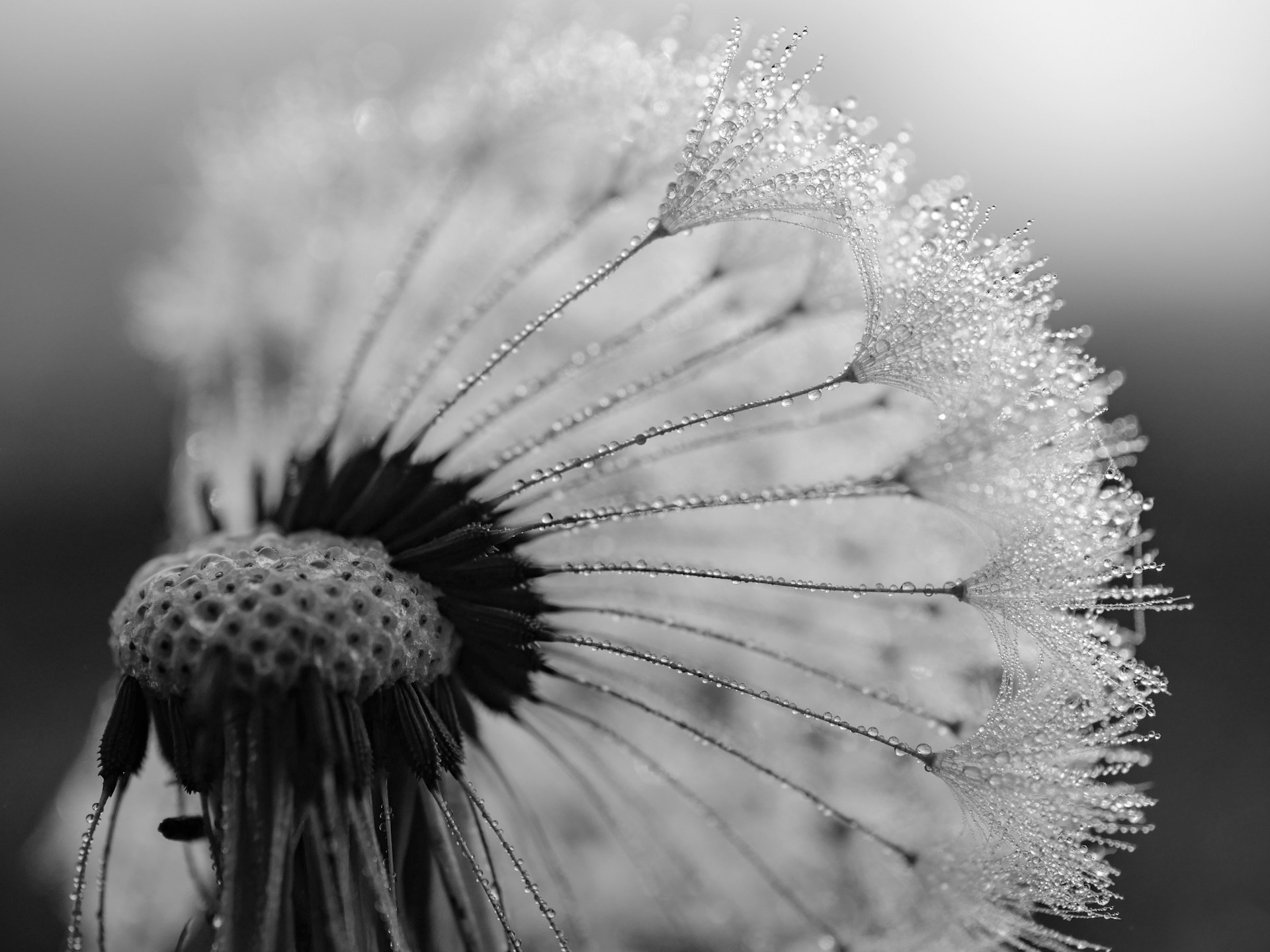 aaron-burden-QvR9NW8Qp58-unsplash
